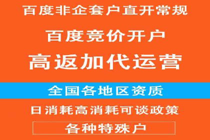 竞价推广策略解析，代运营公司的成功故事分享
